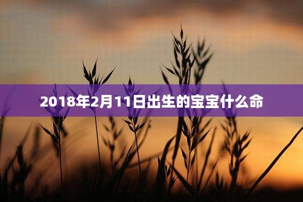 2018年2月11日出生的宝宝什么命