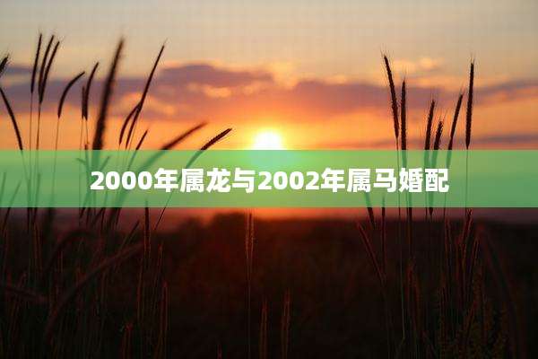 2000年属龙与2002年属马婚配