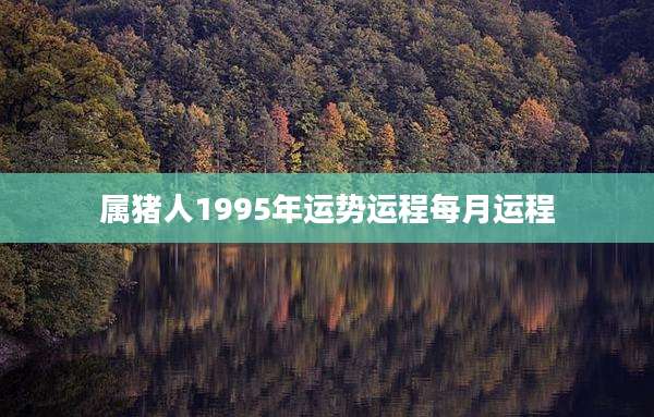 属猪人1995年运势运程每月运程