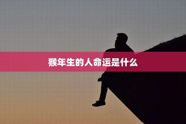 猴年生的人命运是什么