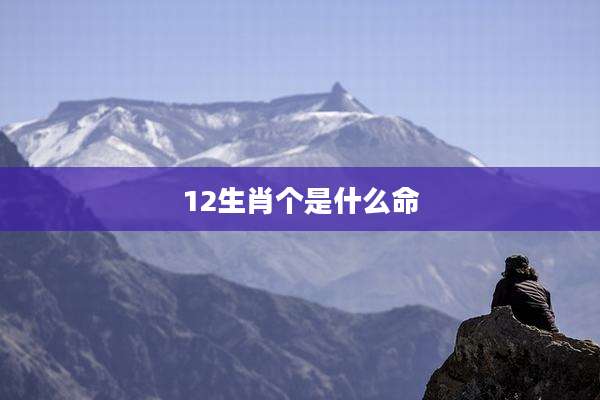 12生肖个是什么命