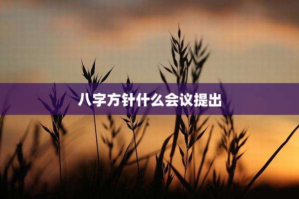 八字方针什么会议提出