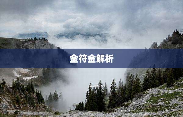 金符金解析