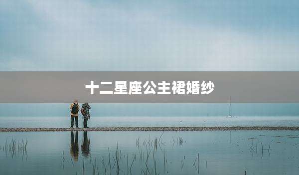 十二星座公主裙婚纱