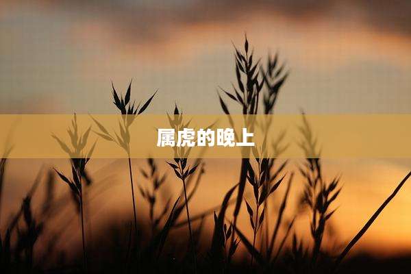 属虎的晚上