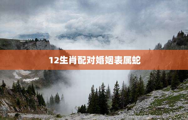 12生肖配对婚姻表属蛇