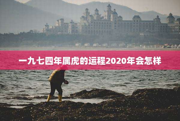 一九七四年属虎的运程2020年会怎样