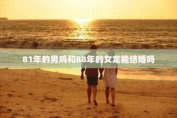 81年的男鸡和88年的女龙能结婚吗