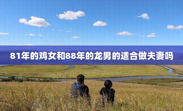 81年的鸡女和88年的龙男的适合做夫妻吗