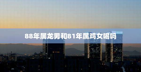 88年属龙男和81年属鸡女喝吗