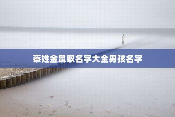 蔡姓金鼠取名字大全男孩名字