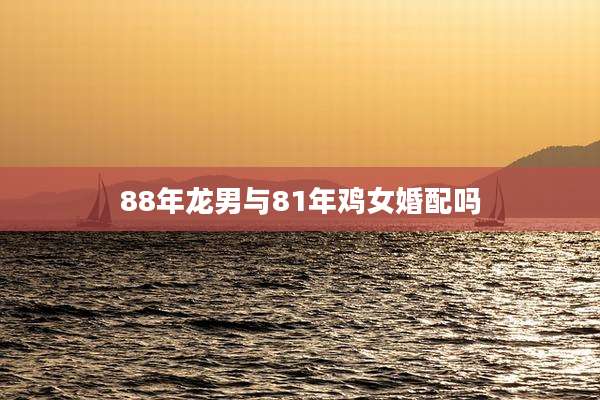 88年龙男与81年鸡女婚配吗
