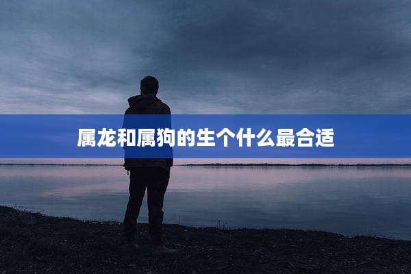 属龙和属狗的生个什么最合适