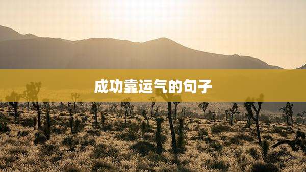 成功靠运气的句子