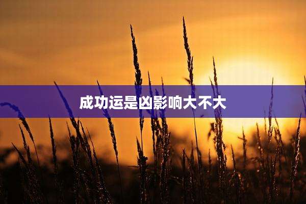 成功运是凶影响大不大