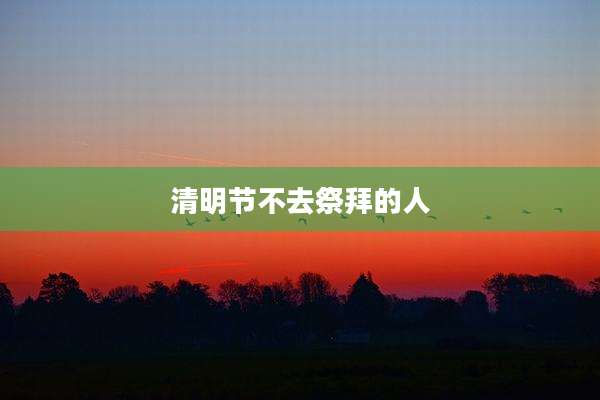 清明节不去祭拜的人