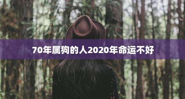 70年属狗的人2020年命运不好