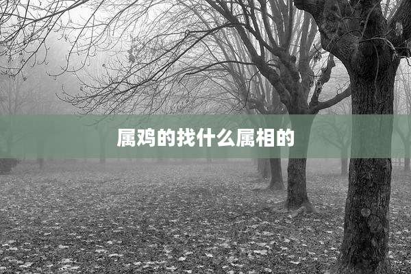 属鸡的找什么属相的