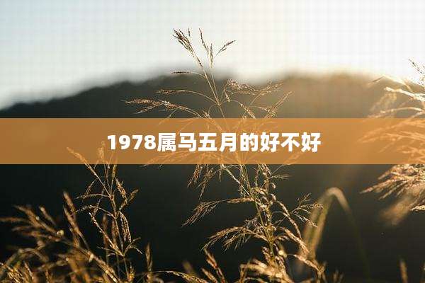 1978属马五月的好不好