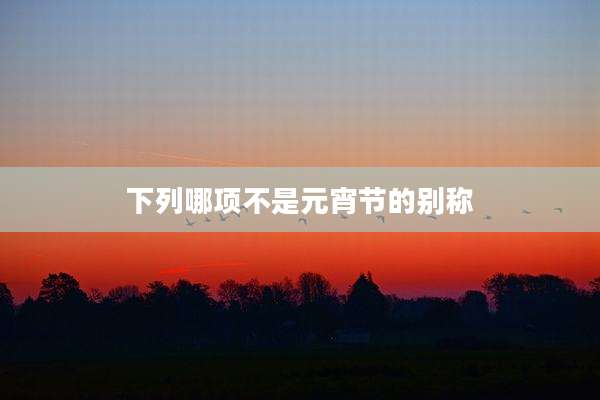 下列哪项不是元宵节的别称