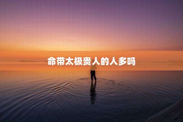 命带太极贵人的人多吗