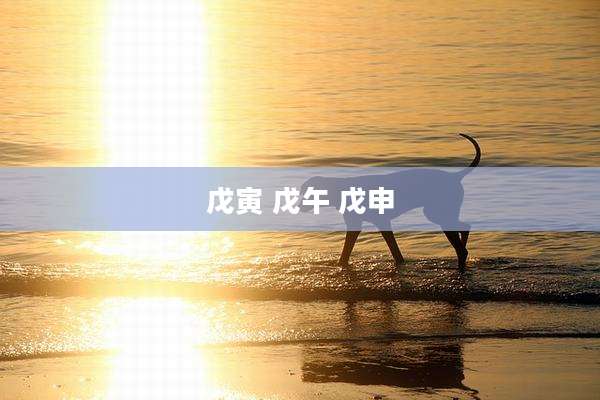 戊寅 戊午 戊申
