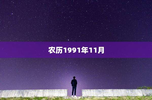 农历1991年11月