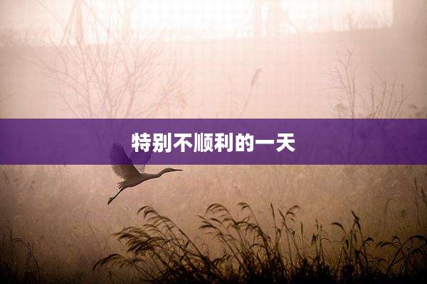 特别不顺利的一天