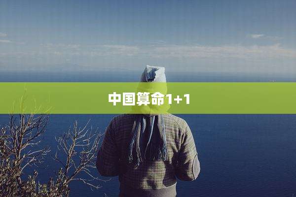 中国算命1+1