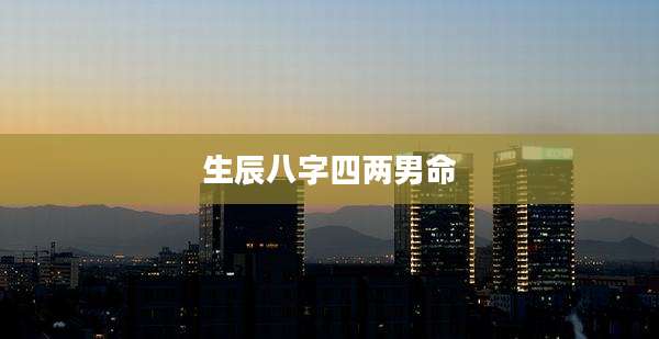 生辰八字四两男命