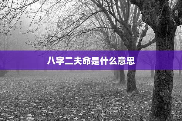 八字二夫命是什么意思