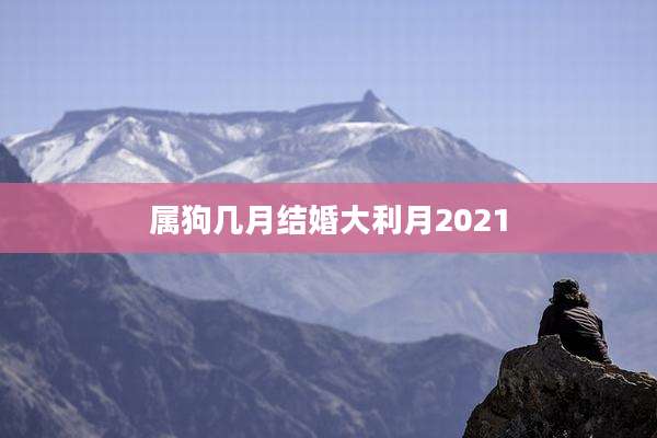 属狗几月结婚大利月2021