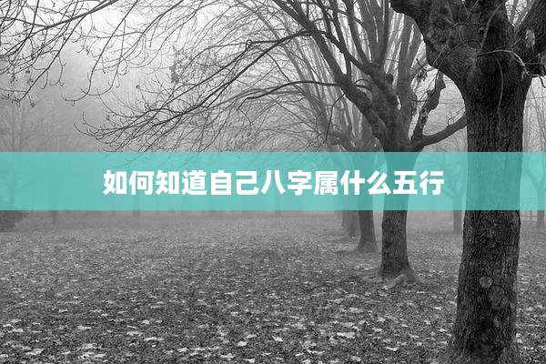 如何知道自己八字属什么五行