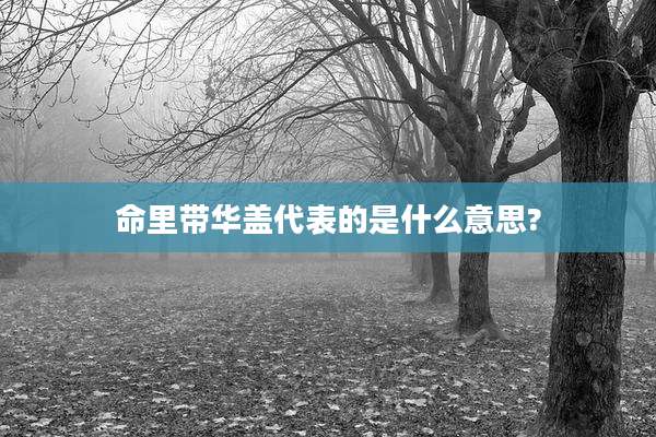 命里带华盖代表的是什么意思?