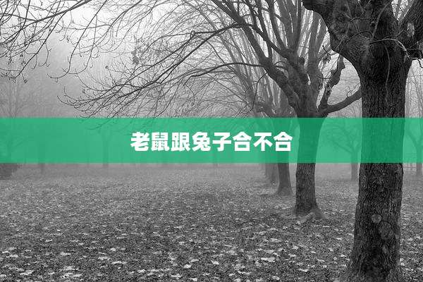 老鼠跟兔子合不合