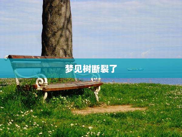 梦见树断裂了