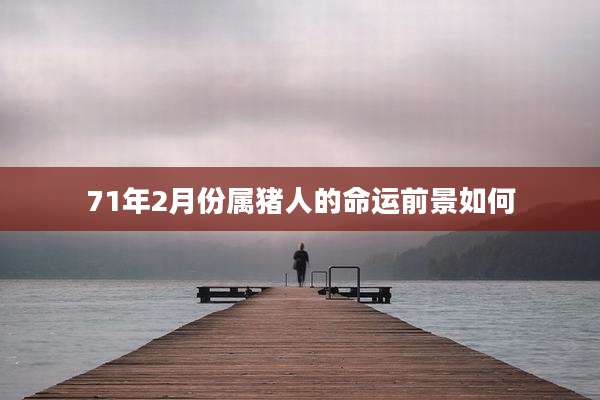 71年2月份属猪人的命运前景如何