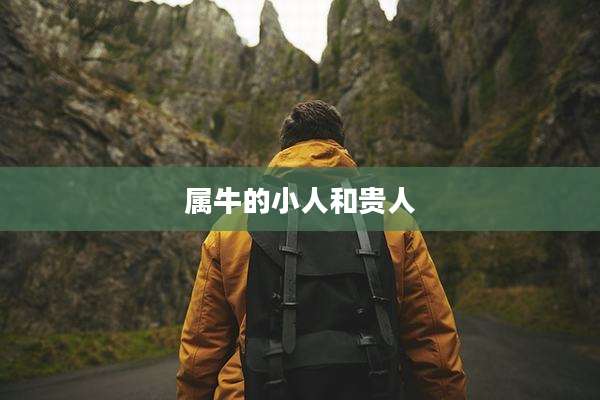 属牛的小人和贵人