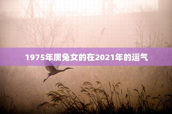 1975年属兔女的在2021年的运气