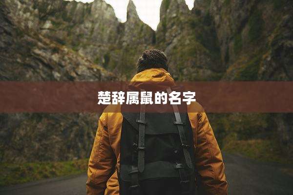 楚辞属鼠的名字