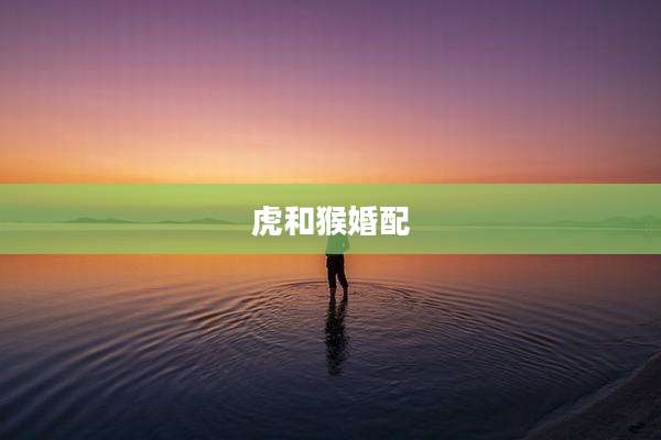 虎和猴婚配