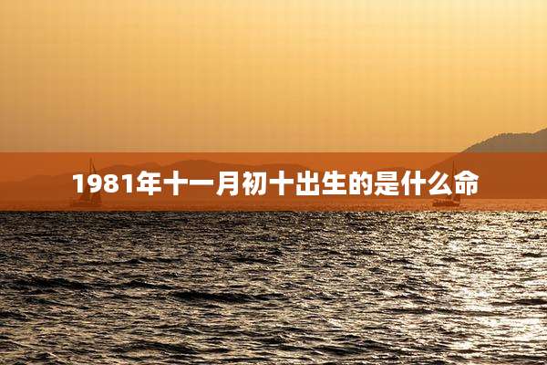 1981年十一月初十出生的是什么命