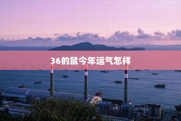 36的鼠今年运气怎样