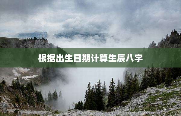 根据出生日期计算生辰八字