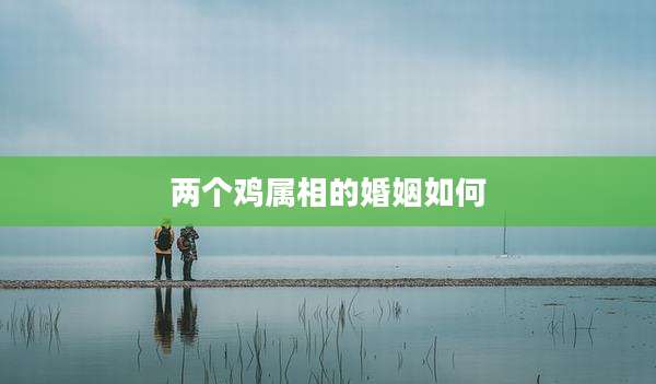 两个鸡属相的婚姻如何