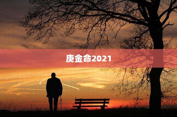 庚金命2021