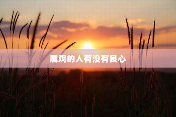 属鸡的人有没有良心