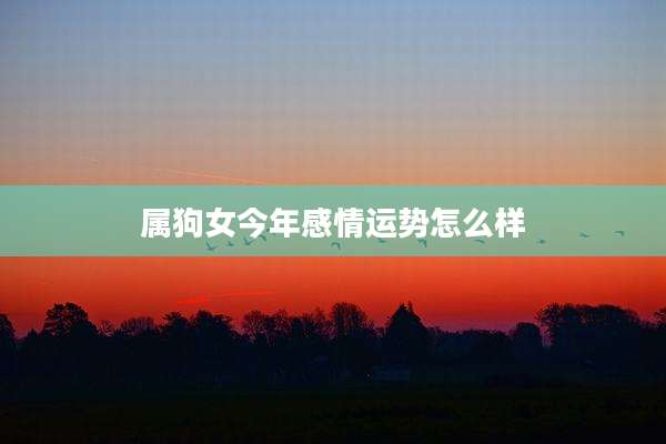 属狗女今年感情运势怎么样