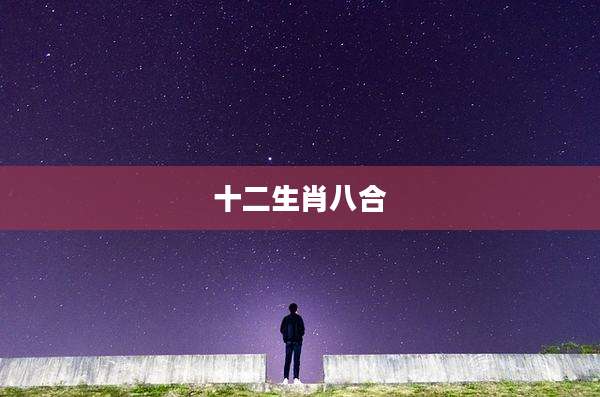 十二生肖八合