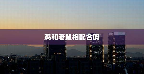 鸡和老鼠相配合吗
